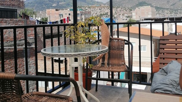 Terrace/patio - Casa Samaykuy (Andrés Avelino Cáceres Dorregaray)