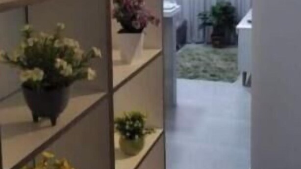 A hallway with a white partition and potted plants. - Apartamento 2010 (Setor Central Goiânia)