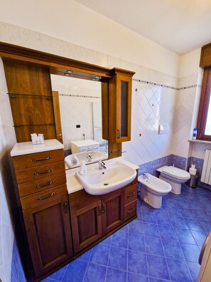 Hair dryer, bidet, towels, soap