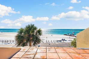 A beach view with a palm tree, a sandy shore, and a clear blue sky. - Fanta-Sea 47 by Beachside Management (Siesta Key)