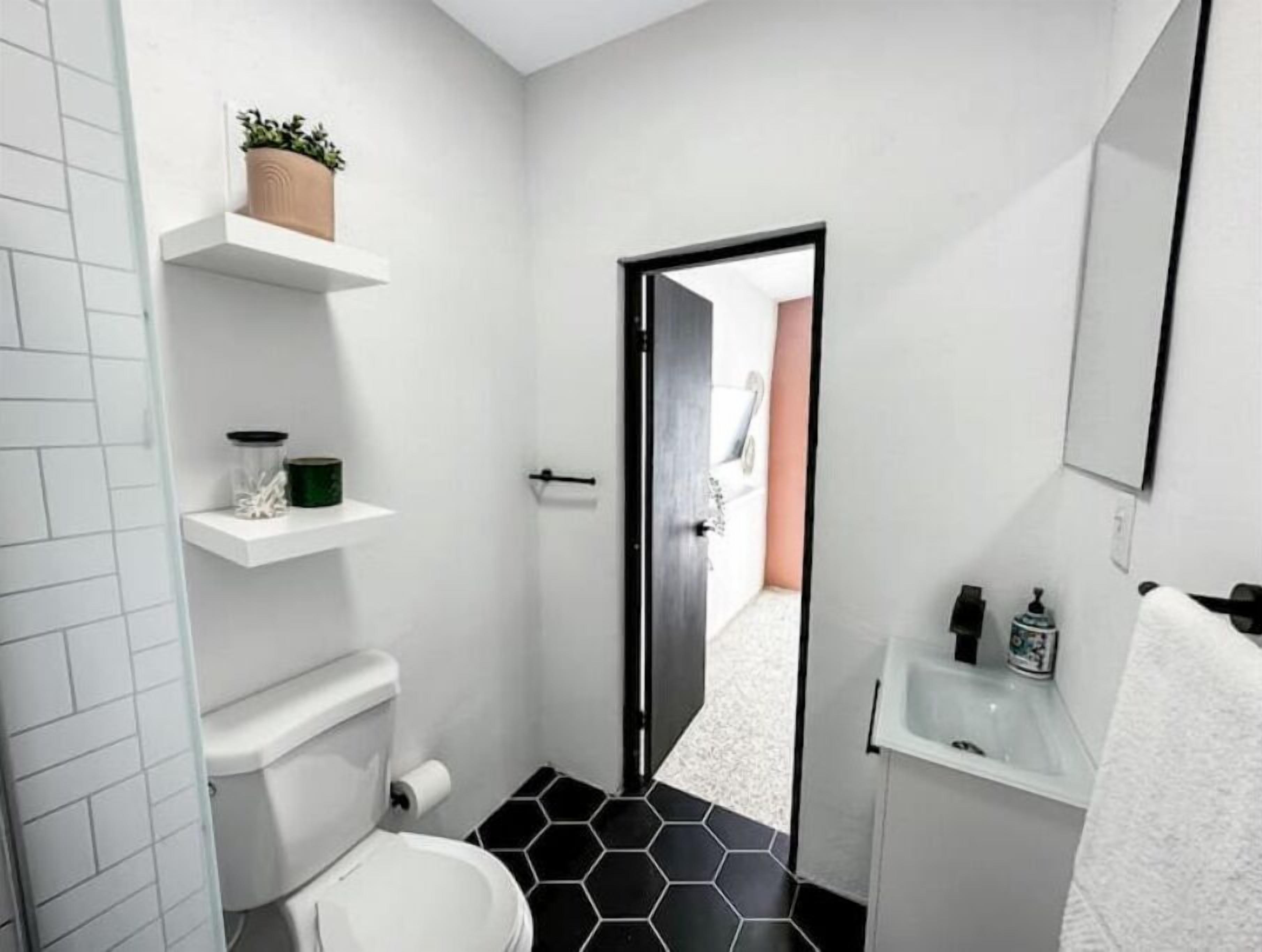 Shower, soap, shampoo, toilet paper