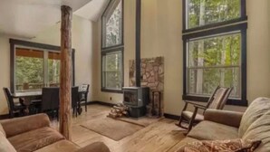 TV, fireplace, DVD player, video library