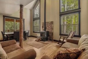 TV, fireplace, DVD player, video library