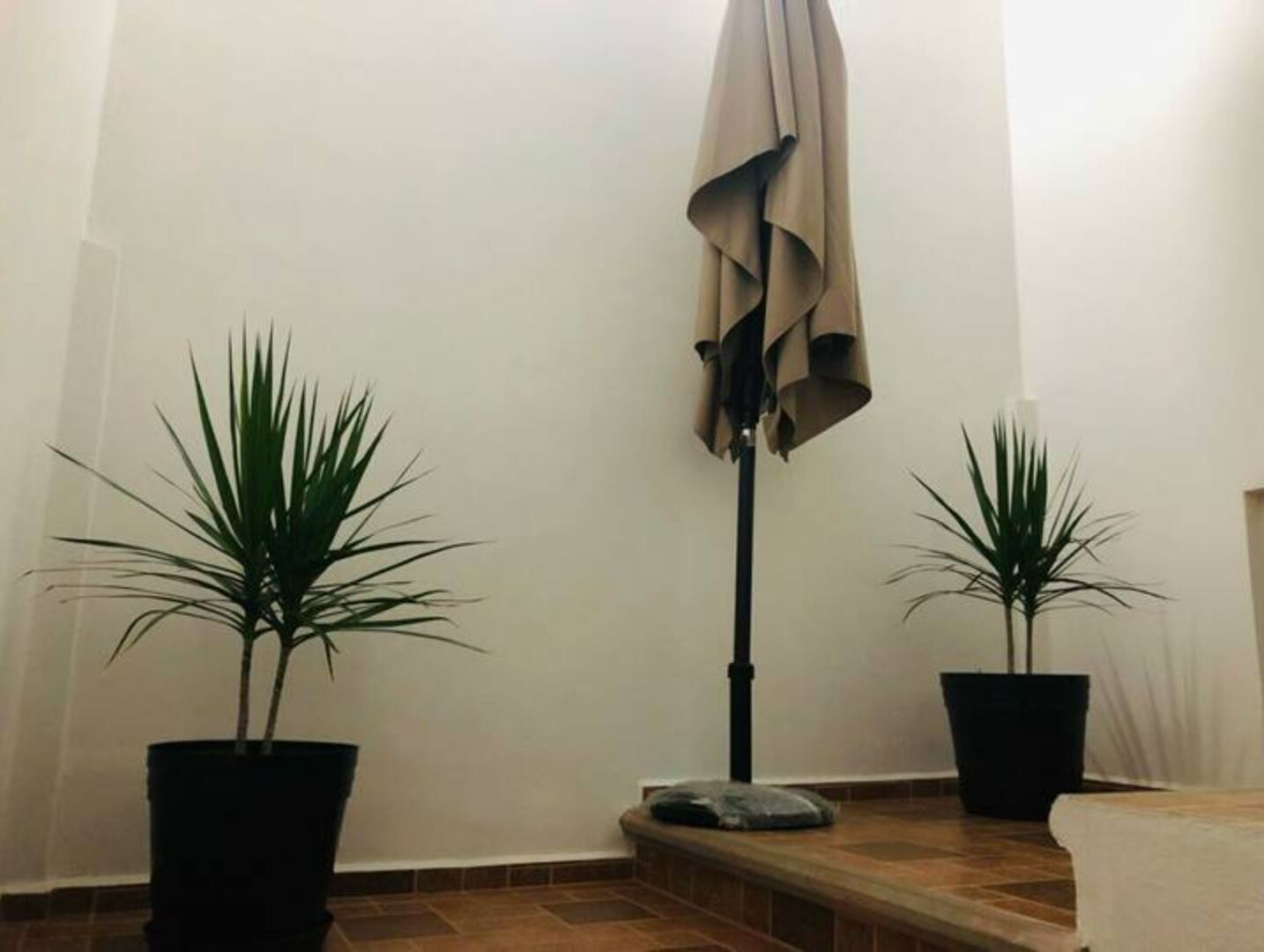Une pièce avec deux plantes en pot, une lampe sur pied et un banc.