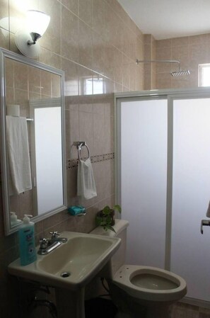 Shower, hair dryer, towels, soap - Departments "García" (Oaxaca de Juárez)