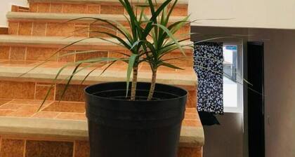 Apartamento con hermosa vista 2 dormitorios confortables cerca del centro Oaxaca