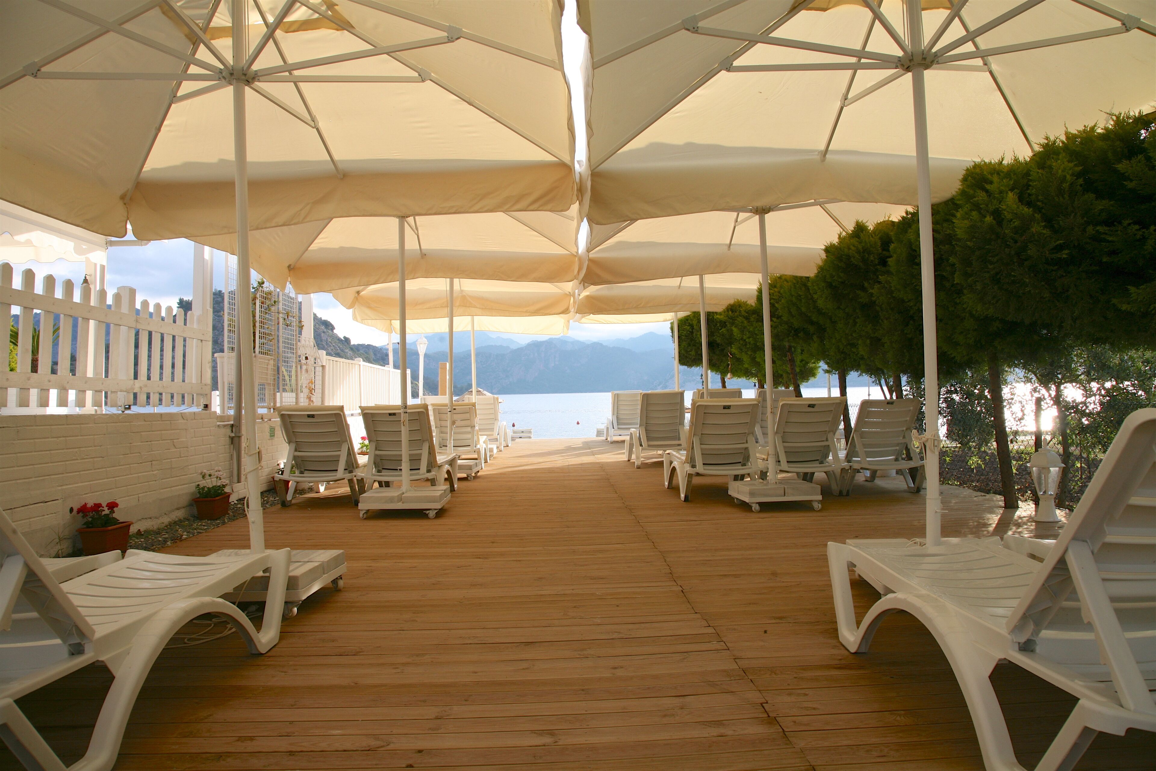 Playa privada, sombrillas y bar en la playa 