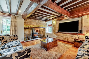 TV, fireplace