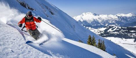 Sneeuw- en skisporten