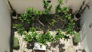 Un pati amb paviment de pedra, envoltat de plantes en testos i una paret blanca.