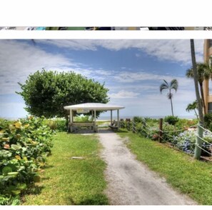 Relax in a serene beachfront setting with a paved pathway leading to a covered seating area surrounded by lush greenery and palm trees.