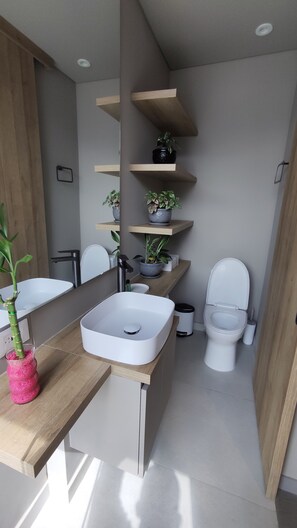 Secador de cabelo, toalhas de banho, sabonete, papel higiênico