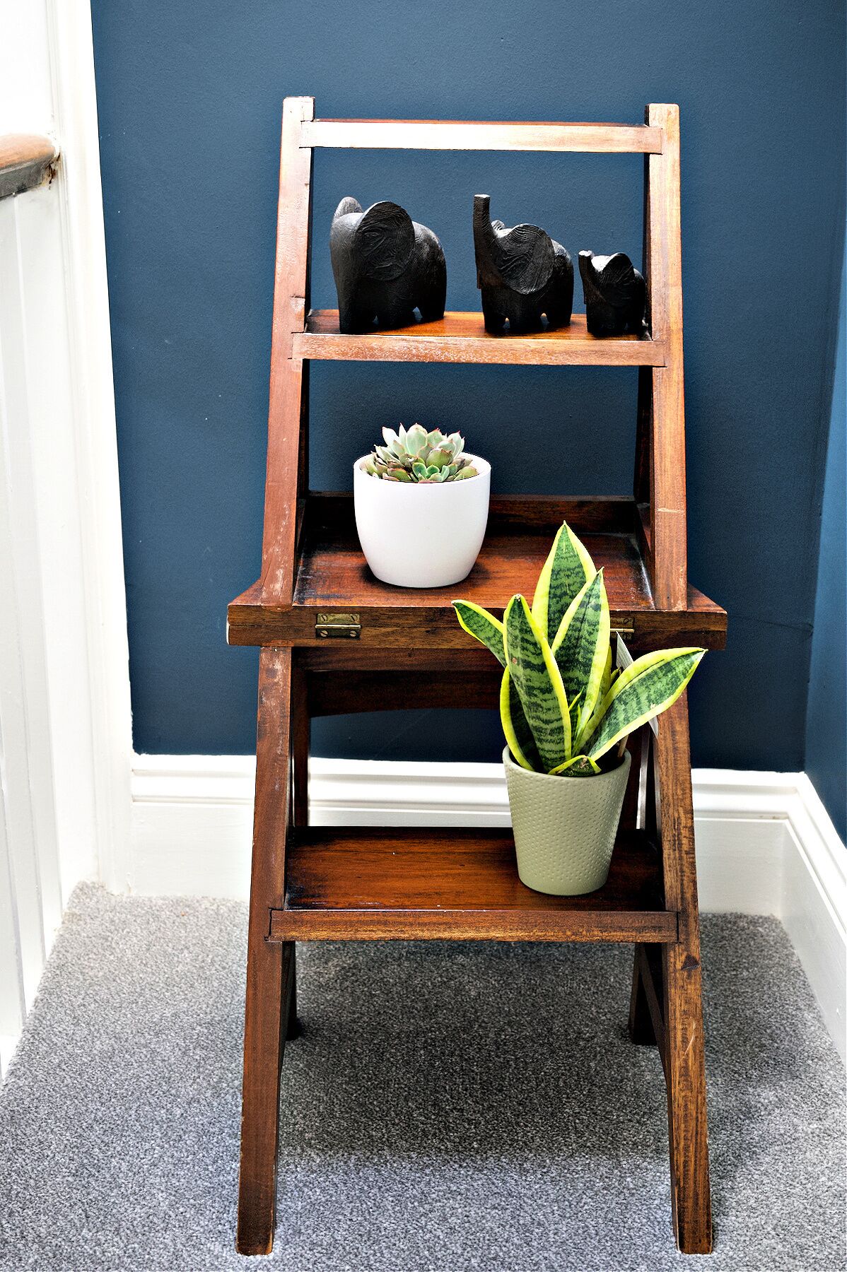 A wooden shelf with two levels, holding a succulent plant and a snake plant.