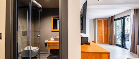A modern bathroom with a glass shower enclosure, a toilet, and a vanity with a mirror.