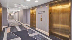A hotel hallway with a carpeted floor, a row of elevators, and a ceiling with recessed lighting. - Junior Suite 33rd Flr in Fontainebleau Miami Beach (Miami Beach)
