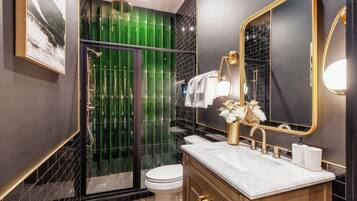 Shower, hair dryer, towels