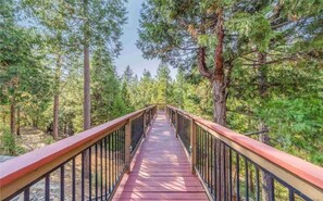 Walkway to the look-out among the trees