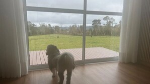 A room with a large window, wooden flooring, and a view of a grassy outdoor area.