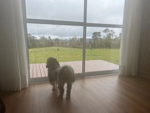 A room with a large window, wooden flooring, and a view of a grassy outdoor area. - Casa Paraíso do Sol - Rancho Queimado (Rancho Queimado)