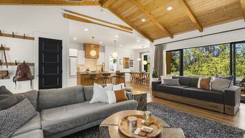 Smart TV, fireplace, music library