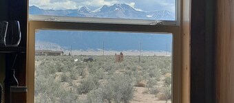Mt Blanca vista, views of multiple 14ers and Sand Dunes National Park.