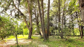 Enceinte de lâhĂ©bergement