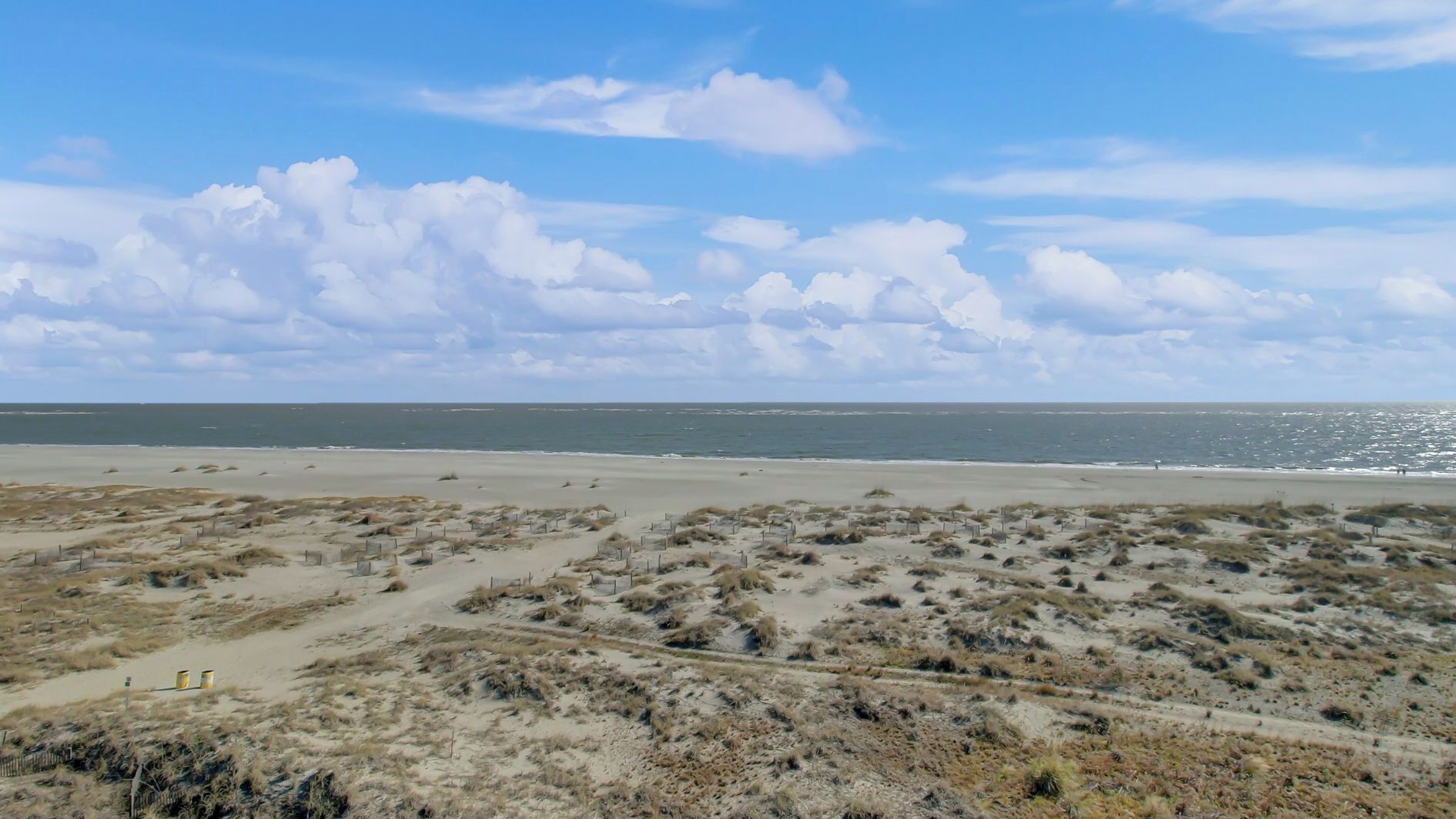 A beach with dunes and a clear sky.