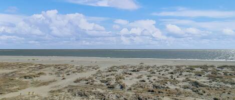 A beach with dunes and a clear sky.