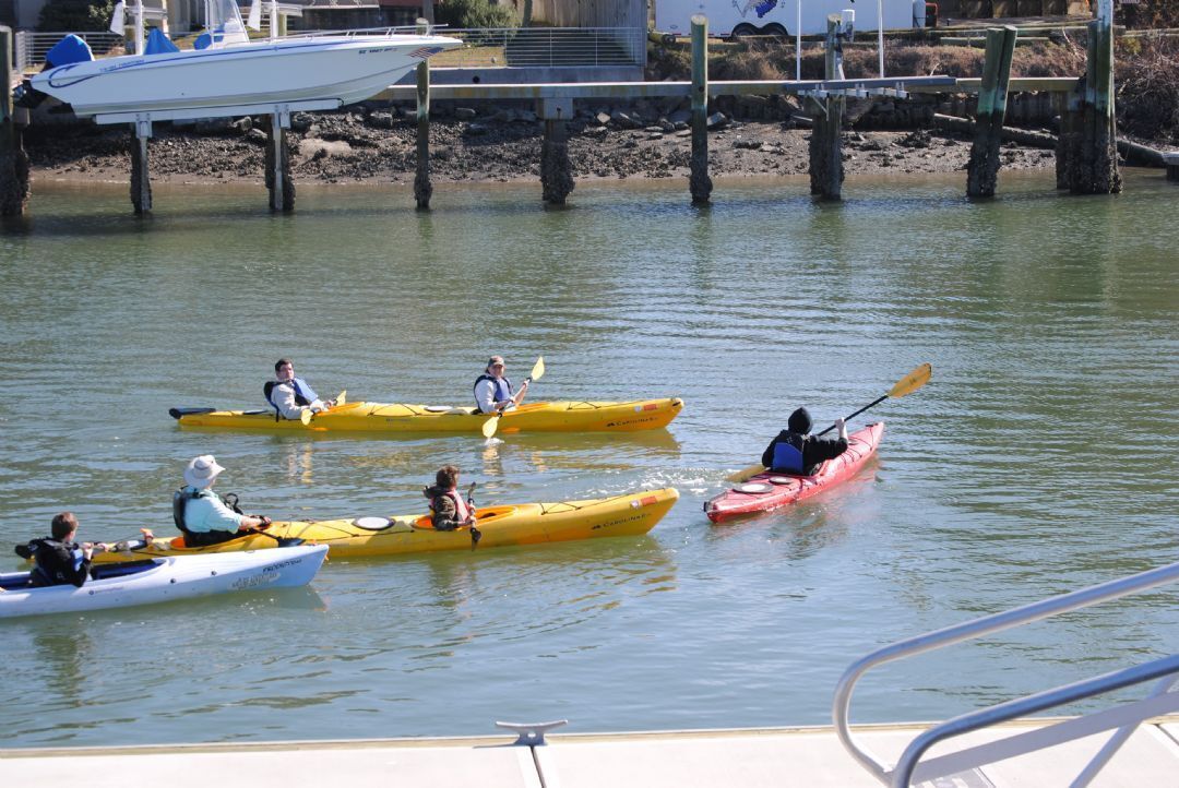 Personas haciendo kayak en un río tranquilo.