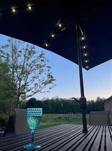 Saratoga Lake w/Dock, HotTub, GameRoom &FirePit