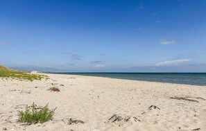 Une plage de sable, avec une végétation clairsemée et un ciel dégagé.