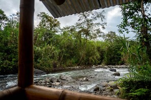 BBQ/picnic Area - River Song's Hotel (Mindo)