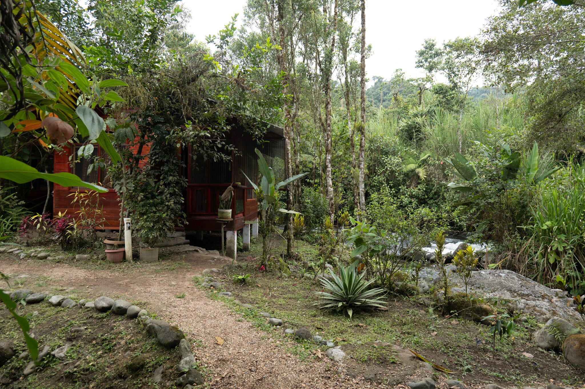 Habitación