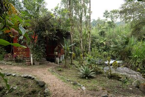 Wi-Fi de cortesia, roupa de cama