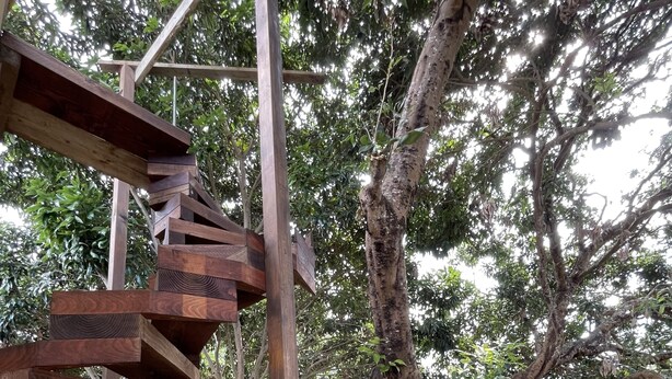 Eine Holztreppe führt zu einer Plattform, die von Bäumen umgeben ist.