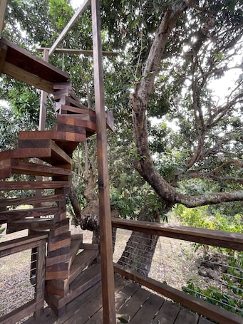 Property grounds. Love Kona Farm Life in nature - Lychee Hale