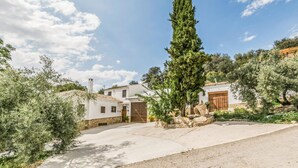 A traditional Mediterranean-style villa with a stone facade, a large cypress tree, and a paved courtyard.