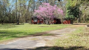 Property grounds - Song Farm Guesthouse - Winnsboro! (Winnsboro)