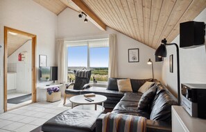 Smart-TV, Kamin