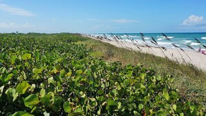 A beach with dense vegetation in the foreground and a sandy beach with tall grasses in the background. - Pool 5BR/3BA Launchpad (Titusville)