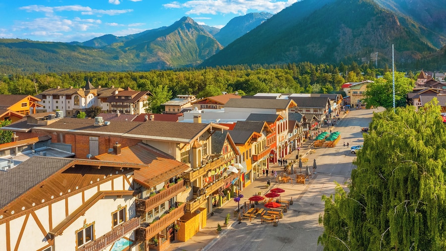 Dasha's Snowboard Track - Icicle Village