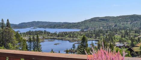 المنطقة المحيطة بالمنشأة