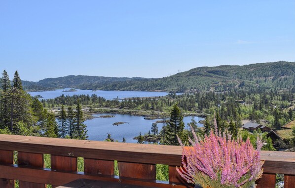 Property grounds - Lovely home in Dalen with sauna (Dalen)