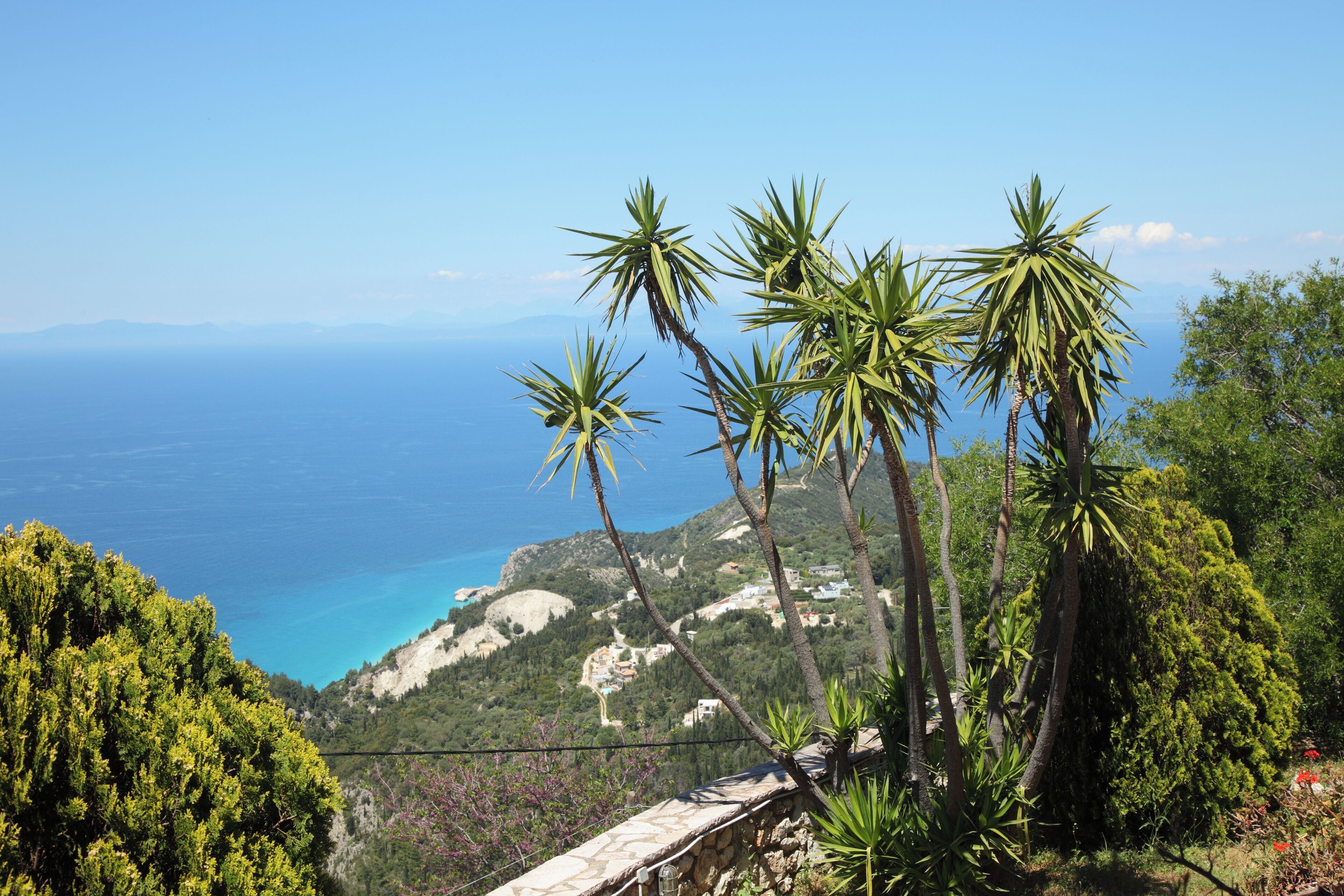 Un paysage côtier avec des palmiers, un mur de pierre et une vue sur la mer et des bâtiments éloignés.