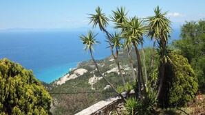 A coastal landscape with palm trees, a stone wall, and a view of the sea and distant buildings.