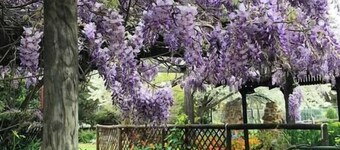 "Vivash" Historic accommodation with Ensuite