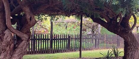 Àrea exterior de l'allotjament