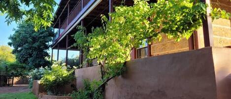 Overnattingsstedets uteområder