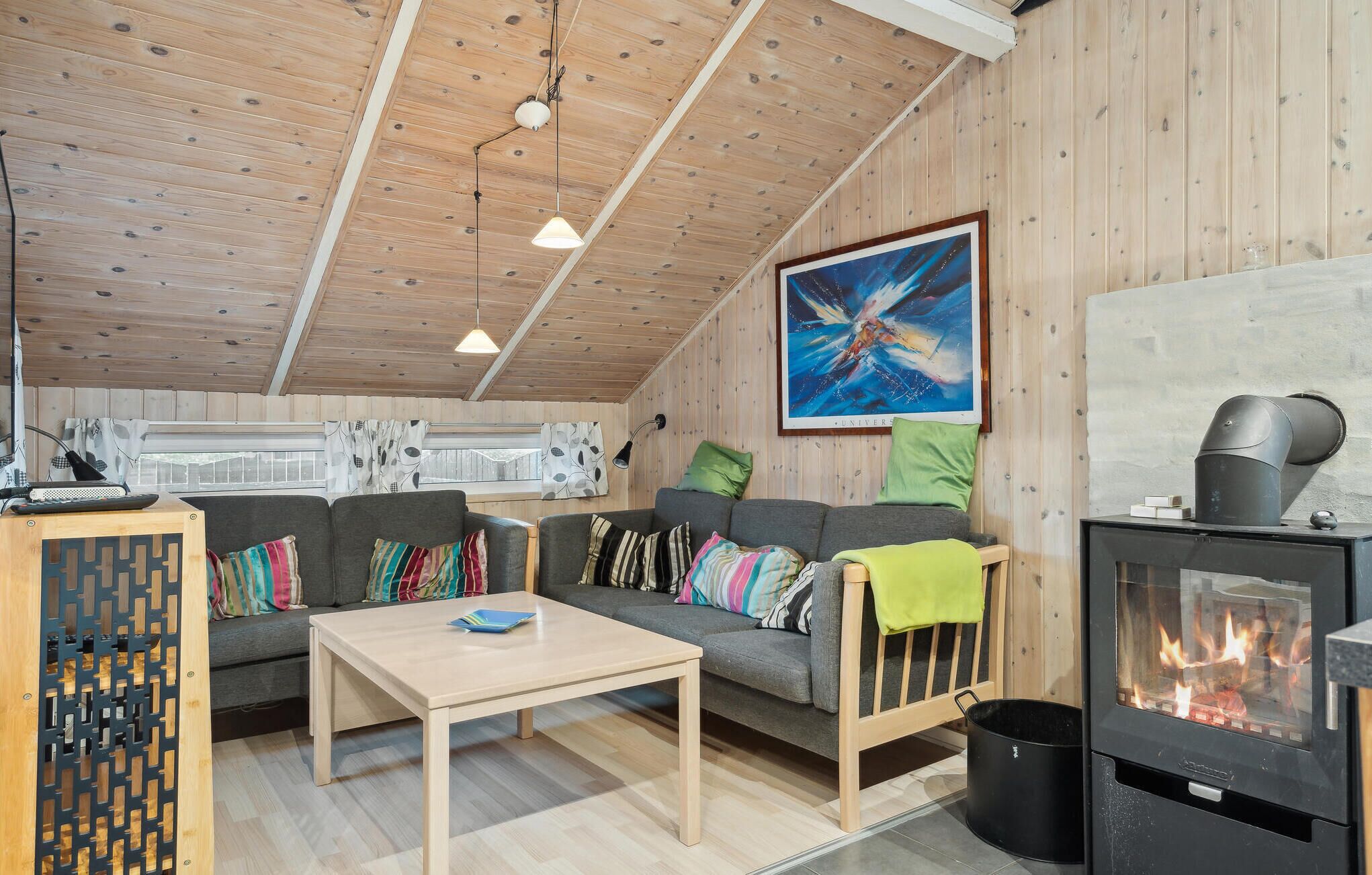 Tv, pejs, dvd-afspiller, bordfodbold