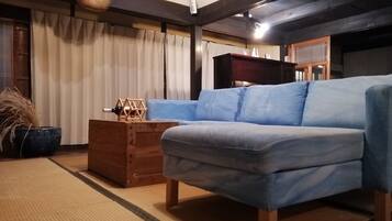 Fireplace, video game console, DVD player, books